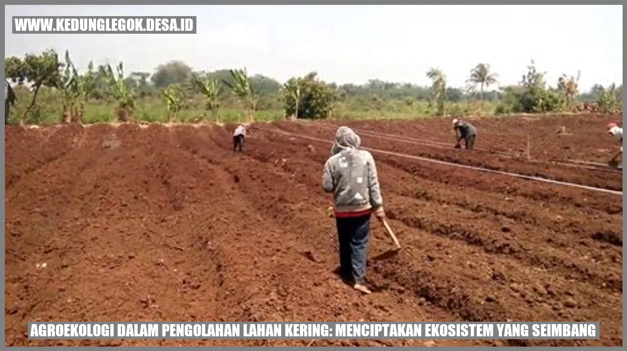 Agroekologi dalam Pengolahan Lahan Kering: Menciptakan Ekosistem yang Seimbang