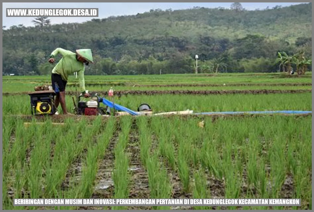 Beriringan dengan Musim dan Inovasi: Perkembangan Pertanian di Desa kedunglegok Kecamatan Kemangkon