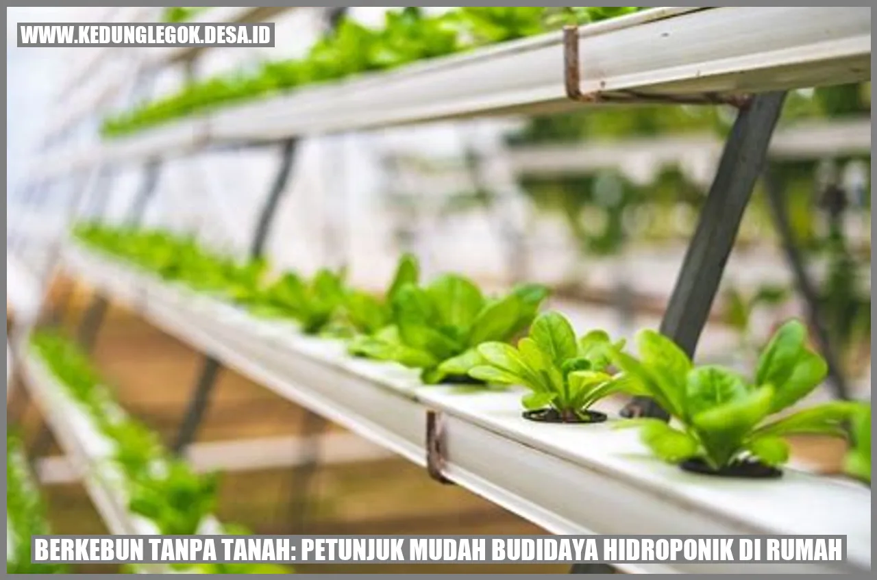 Berkebun Tanpa Tanah: Petunjuk Mudah Budidaya Hidroponik di Rumah