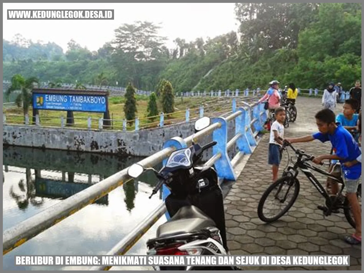 Berlibur di Embung: Menikmati Suasana Tenang dan Sejuk di Desa Kedunglegok