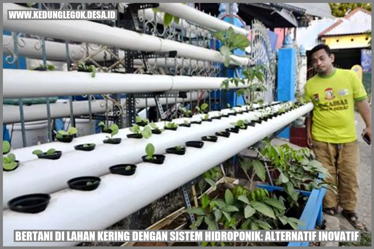 Bertani di Lahan Kering dengan Sistem Hidroponik: Alternatif Inovatif
