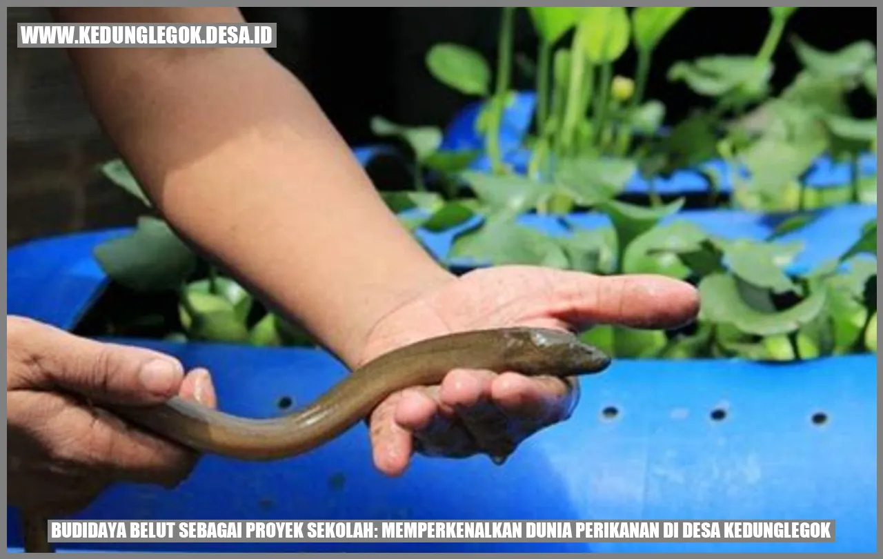 Budidaya Belut Sebagai Proyek Sekolah: Memperkenalkan Dunia Perikanan di Desa Kedunglegok