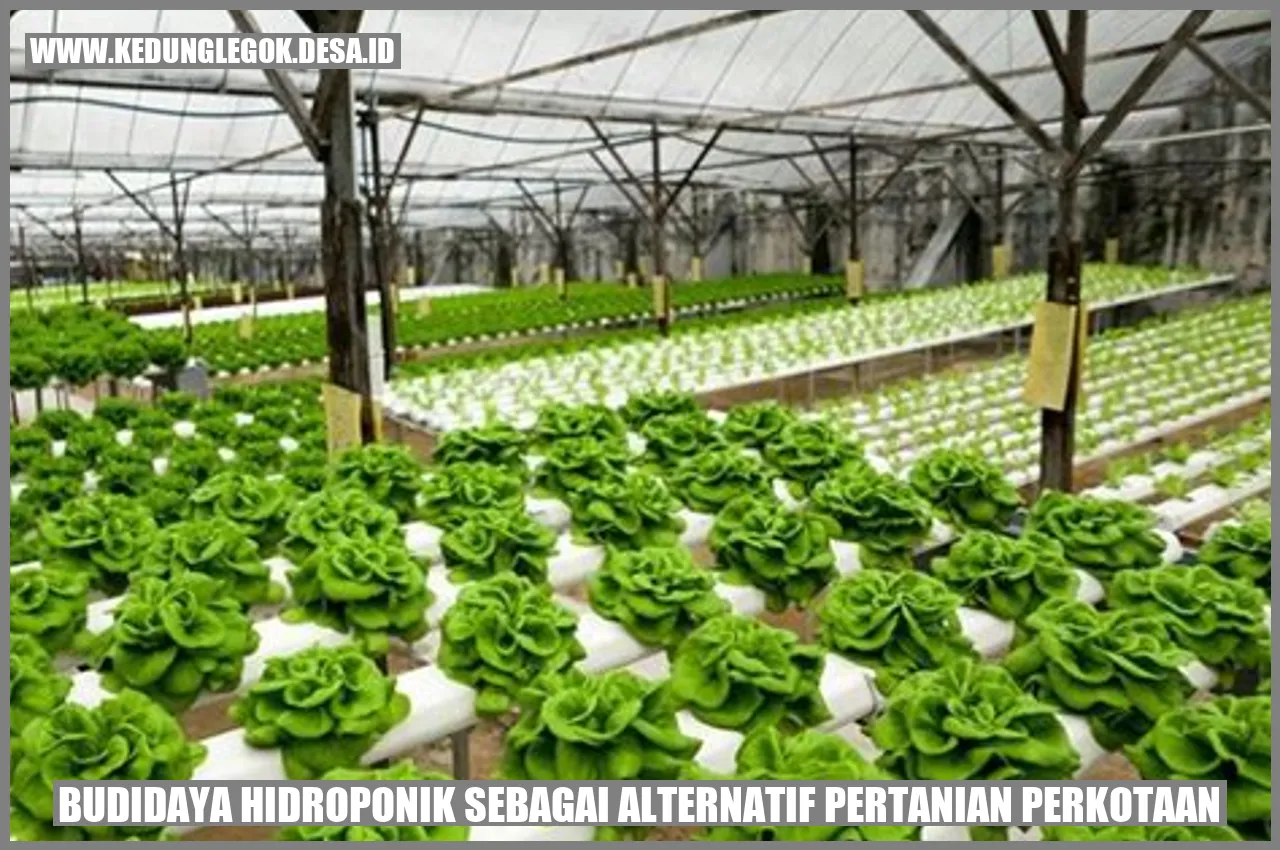 Budidaya Hidroponik Sebagai Alternatif Pertanian Perkotaan