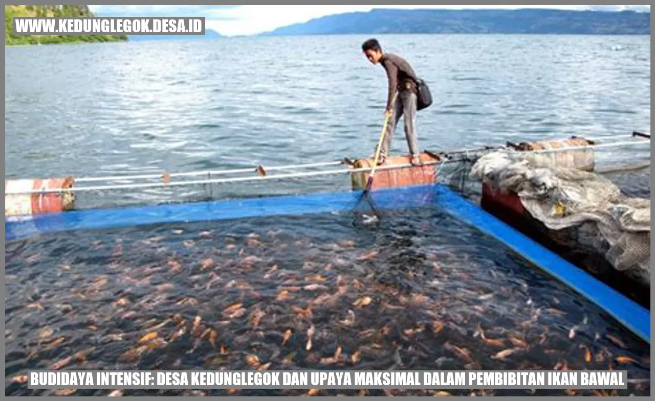 Budidaya Ikan Bawal di Desa Kedunglegok