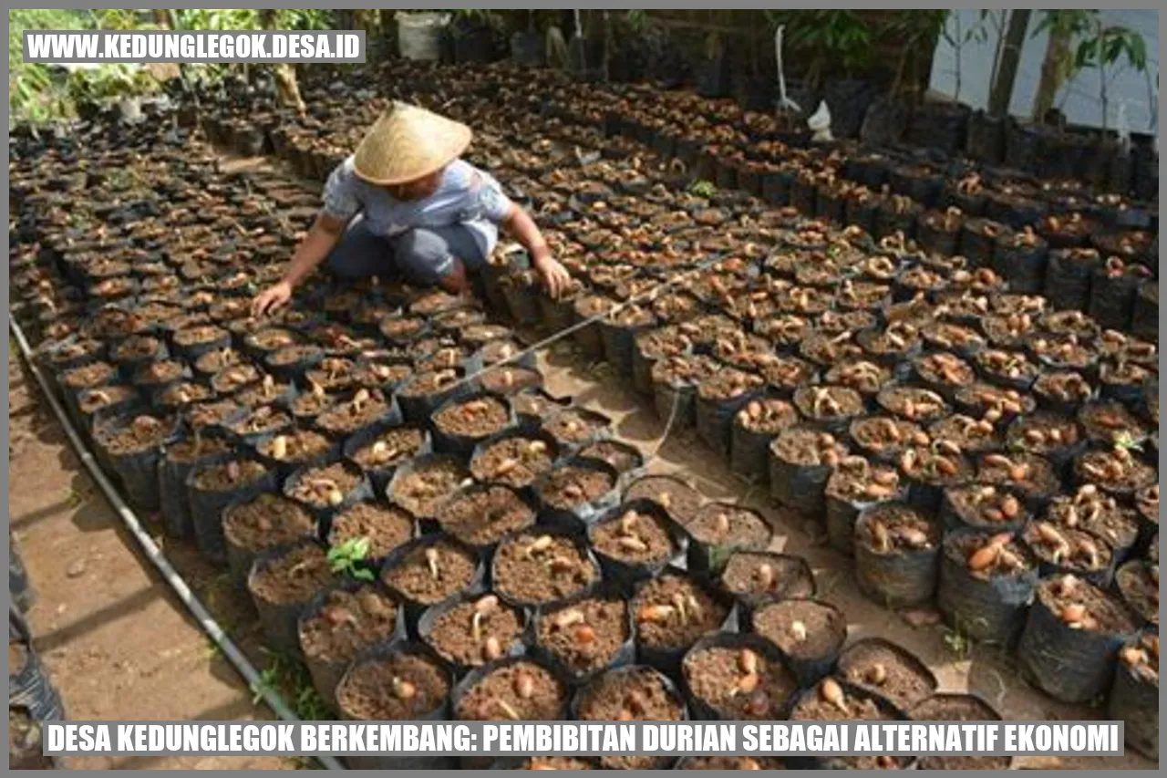 Desa Kedunglegok Berkembang: Pembibitan Durian Sebagai Alternatif Ekonomi