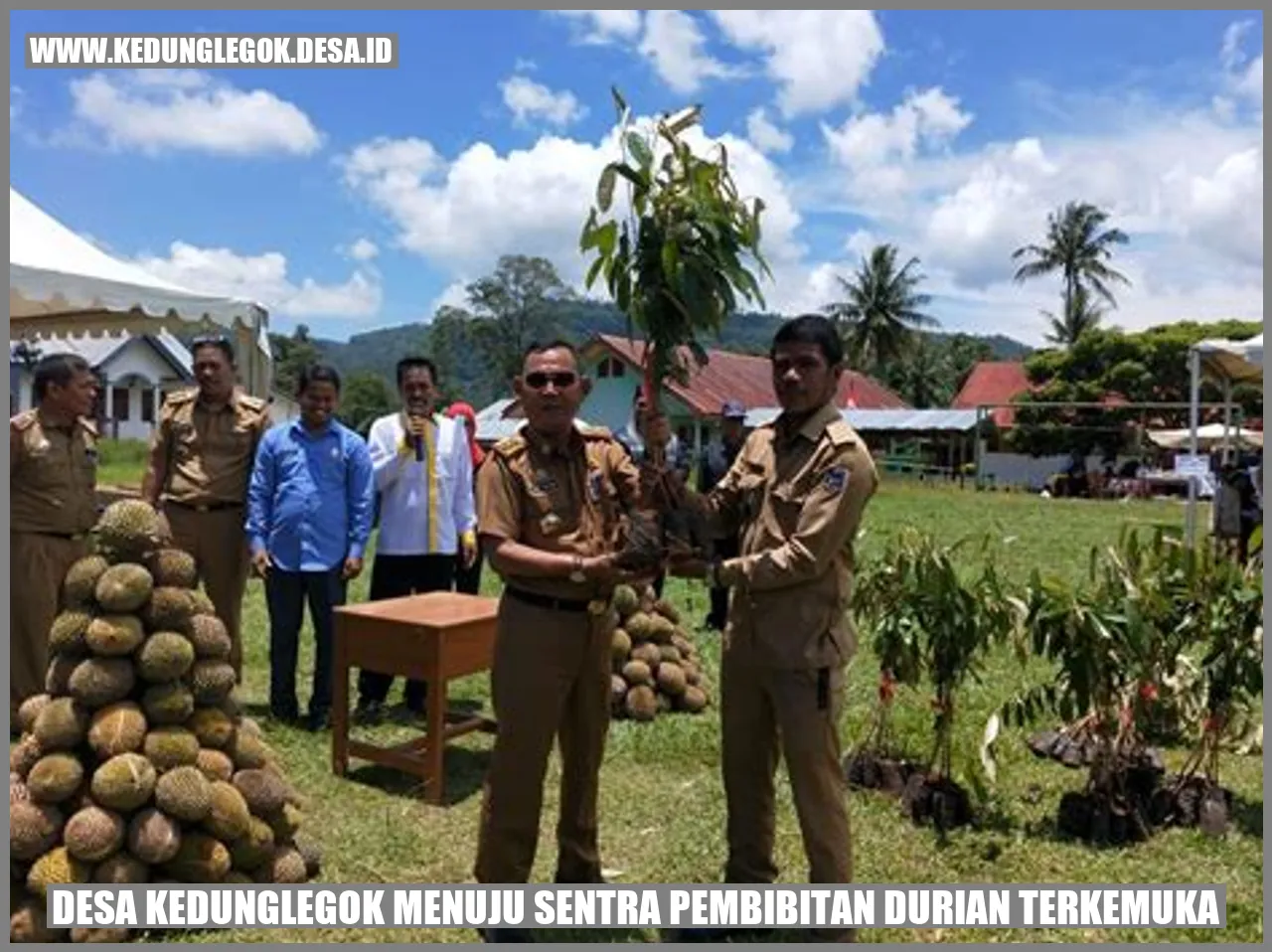Desa Kedunglegok Menuju Sentra Pembibitan Durian Terkemuka