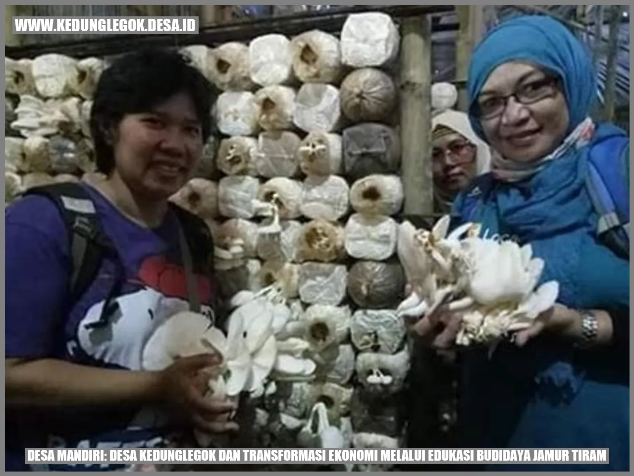 Desa Mandiri: Desa Kedunglegok dan Transformasi Ekonomi melalui Edukasi Budidaya Jamur Tiram