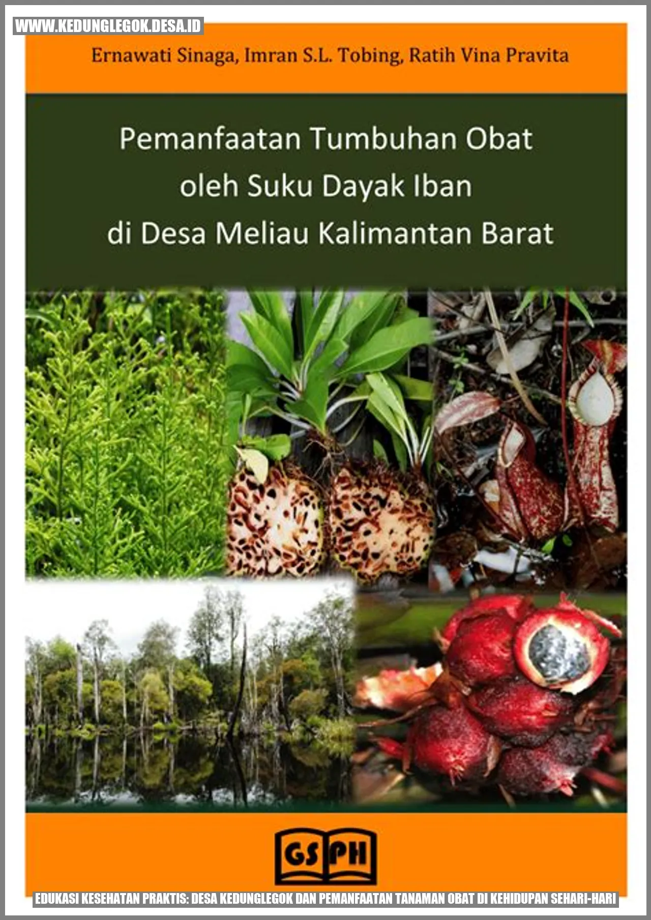 Edukasi Kesehatan Praktis: Desa Kedunglegok dan Pemanfaatan Tanaman Obat di Kehidupan Sehari-hari