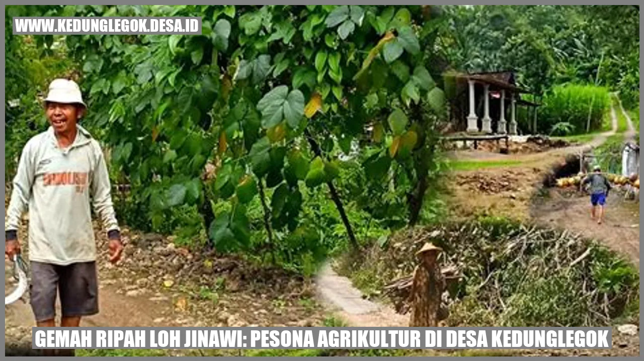 Desa Kedunglegok