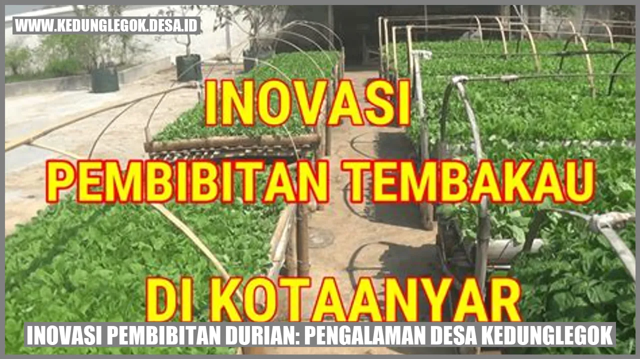Inovasi Pembibitan Durian: Pengalaman Desa Kedunglegok