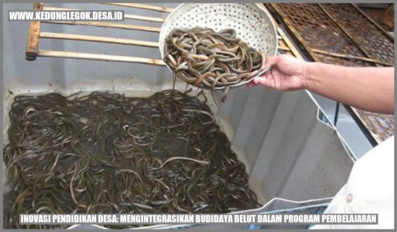 Inovasi Pendidikan Desa dengan Budidaya Belut