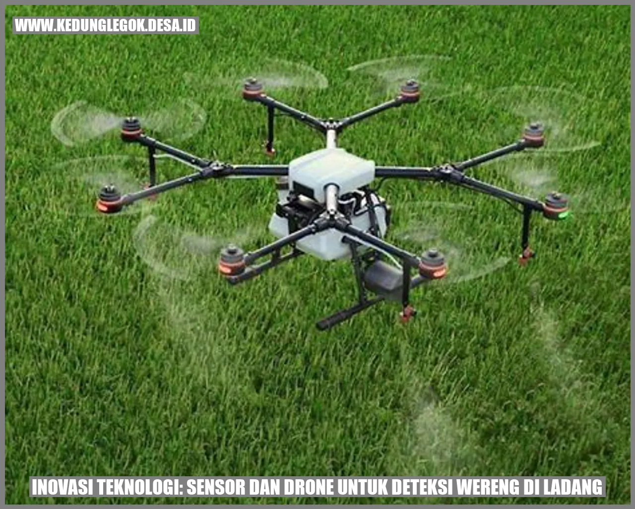 Inovasi Teknologi: Sensor dan Drone untuk Deteksi Wereng di Ladang