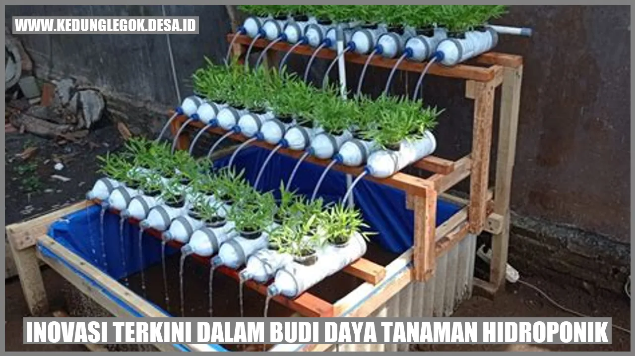 Inovasi Terkini dalam Budi Daya Tanaman Hidroponik