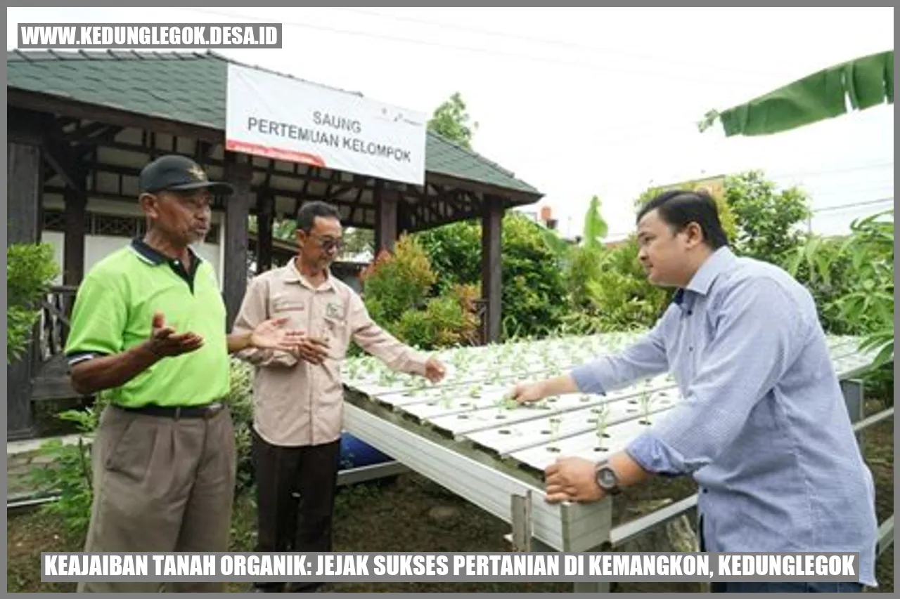 Tanah Organik