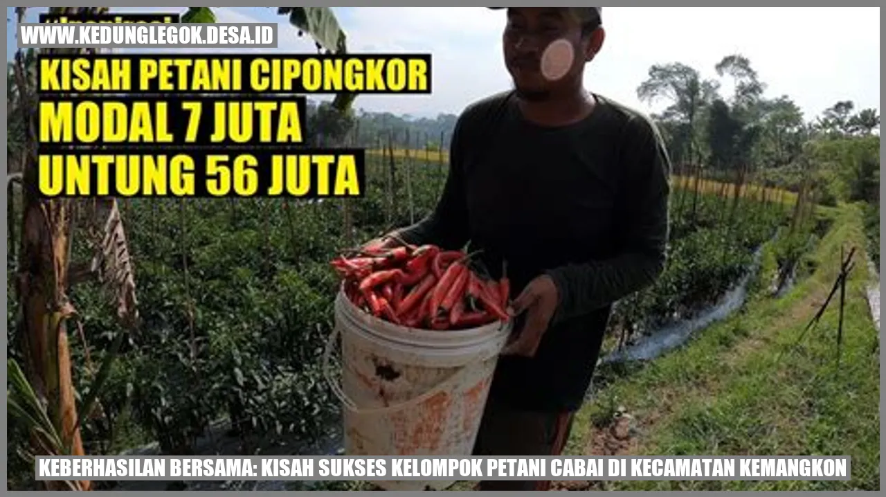 Keberhasilan Bersama: Kisah Sukses Kelompok Petani Cabai di Kecamatan Kemangkon