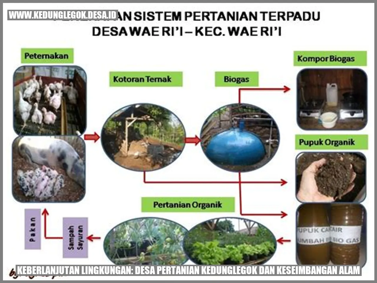 Keberlanjutan Lingkungan: Desa Pertanian Kedunglegok dan Keseimbangan Alam