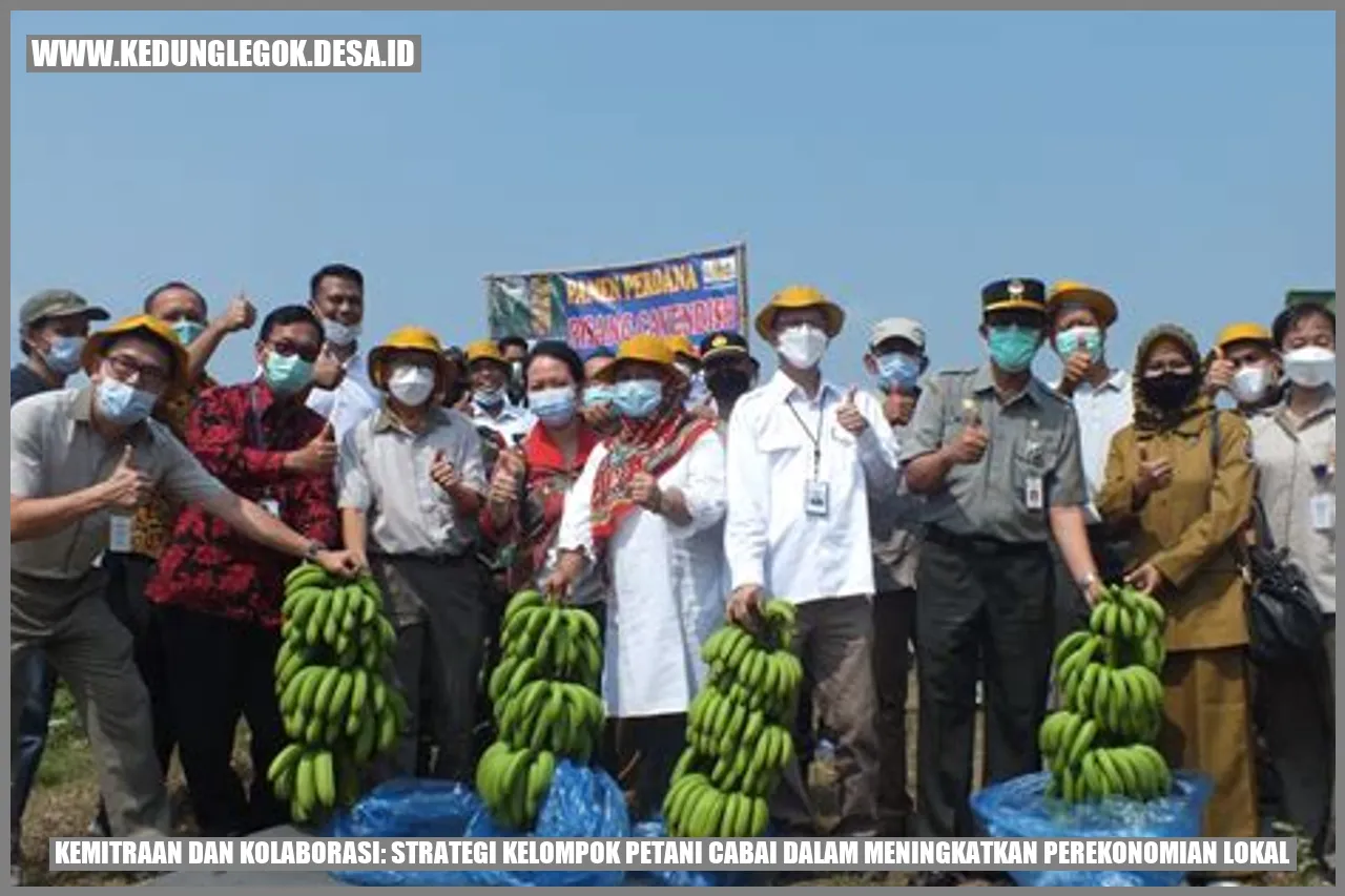 Kemitraan dan Kolaborasi: Strategi Kelompok Petani Cabai dalam Meningkatkan Perekonomian Lokal