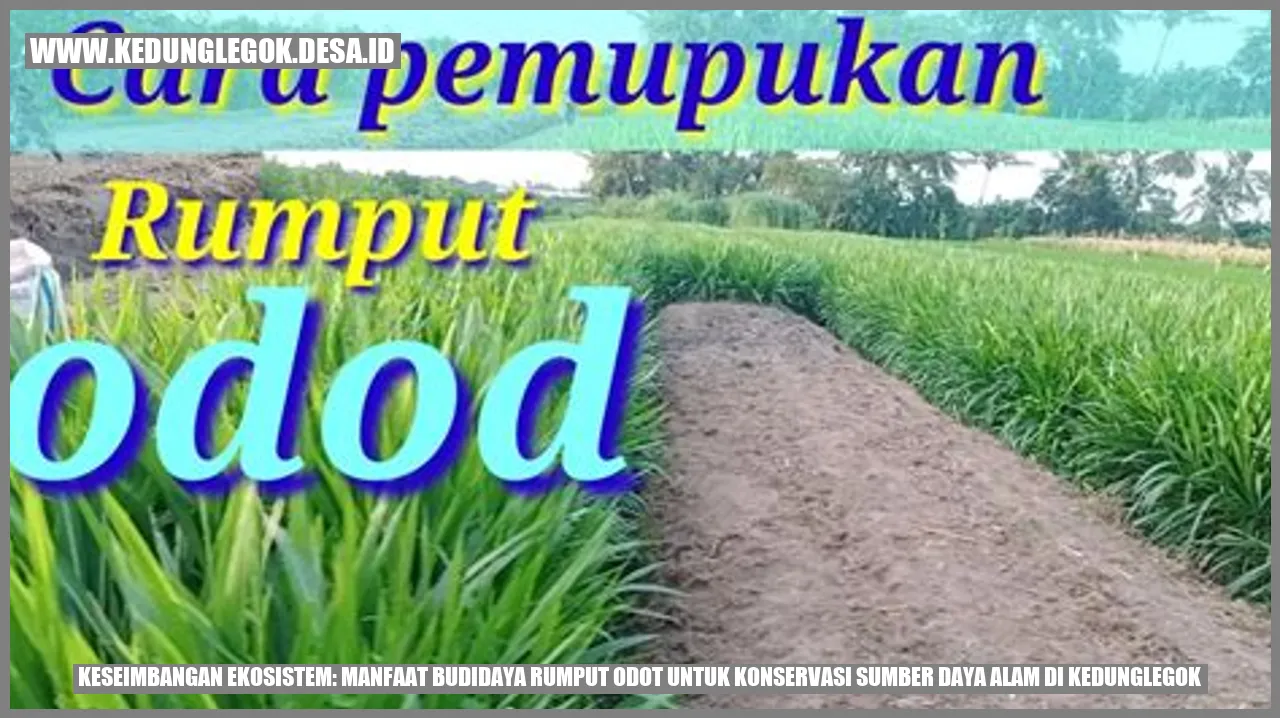 Keseimbangan Ekosistem: Manfaat Budidaya Rumput Odot untuk Konservasi Sumber Daya Alam di Kedunglegok