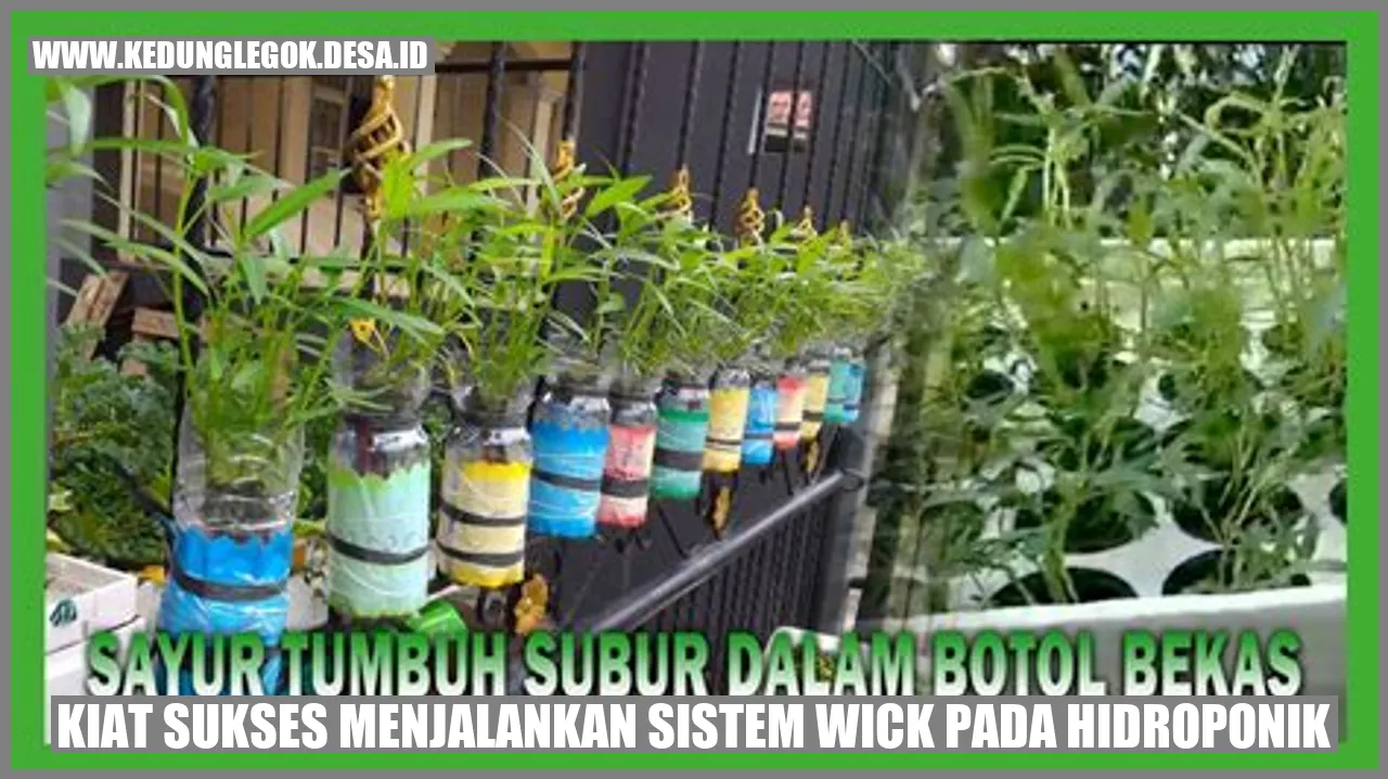 Gambar Hidroponik