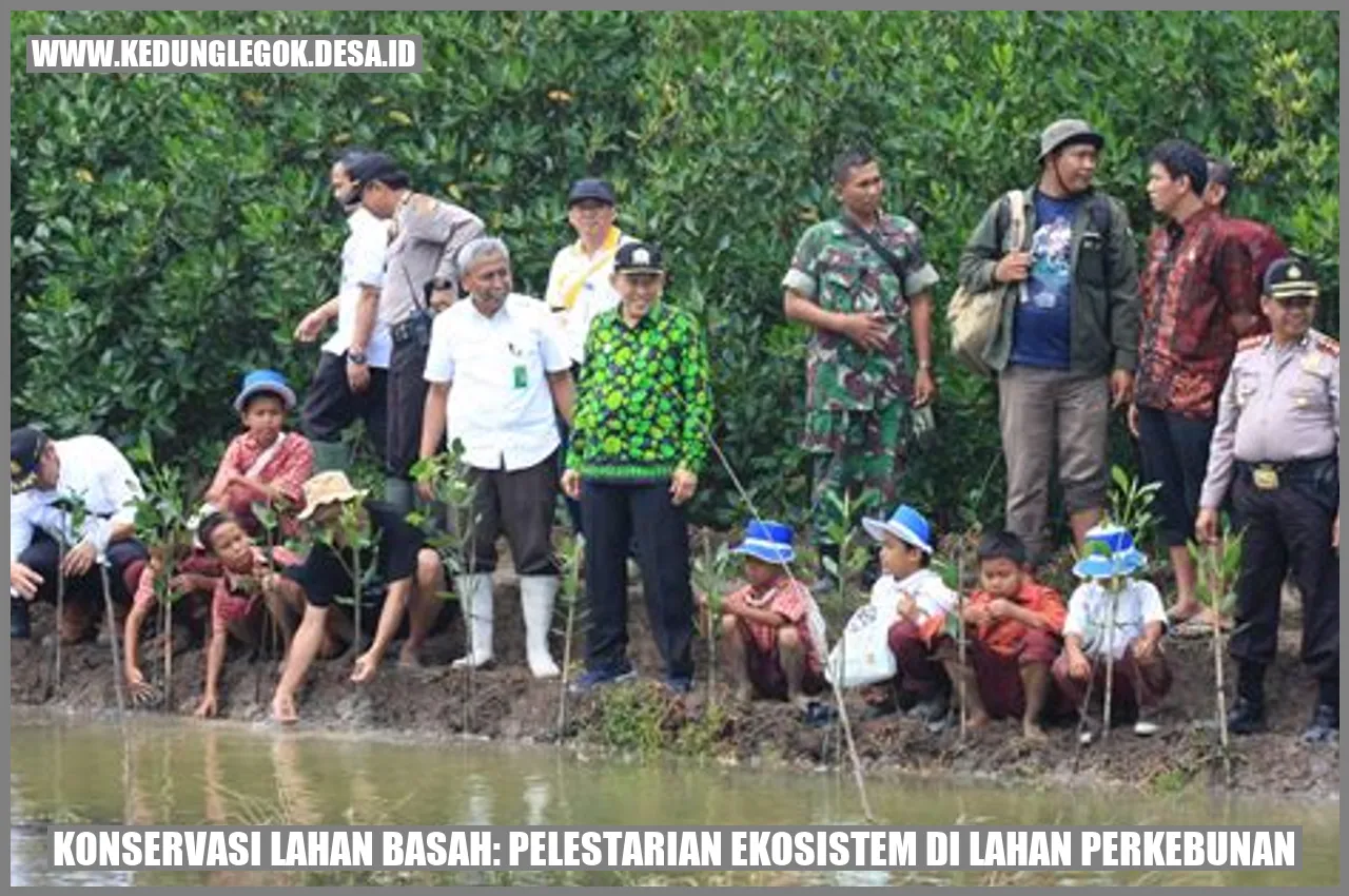 Konservasi Lahan Basah: Pelestarian Ekosistem di Lahan Perkebunan