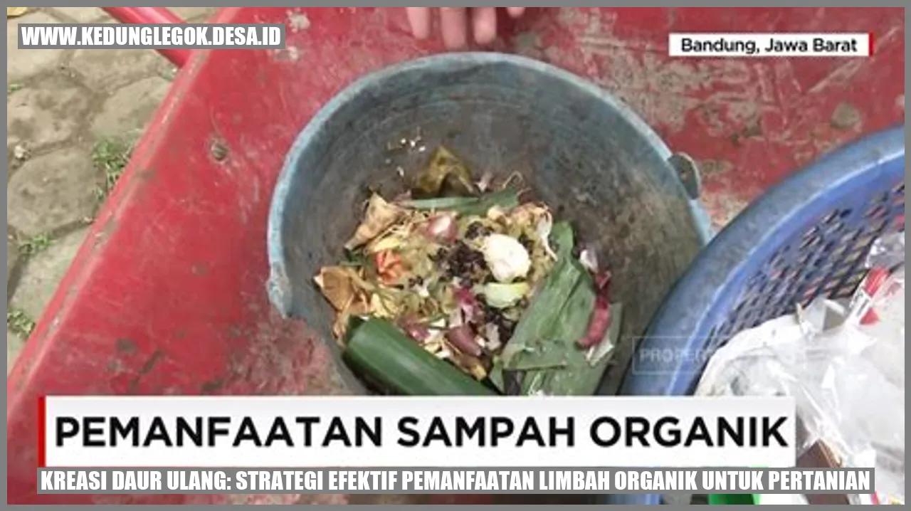 Kreasi Daur Ulang: Strategi Efektif Pemanfaatan Limbah Organik untuk Pertanian