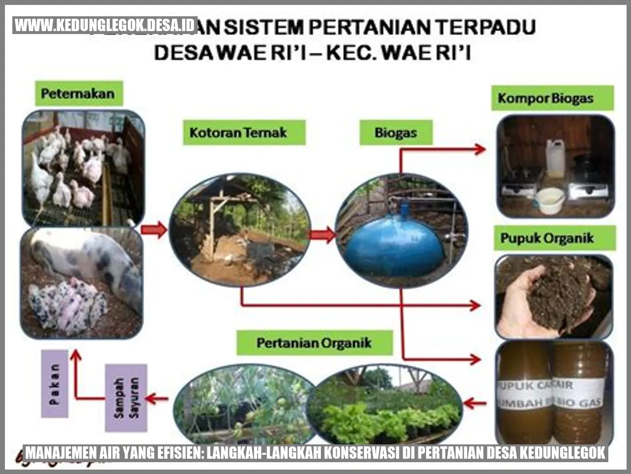 Menghadapi Tantangan Air dalam Pertanian: Langkah-langkah Konservasi di Desa Kedunglegok