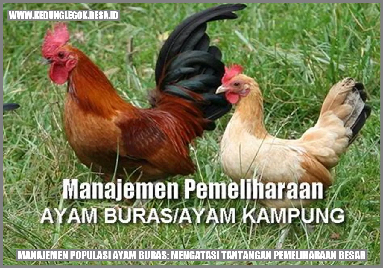 Ayam Buras