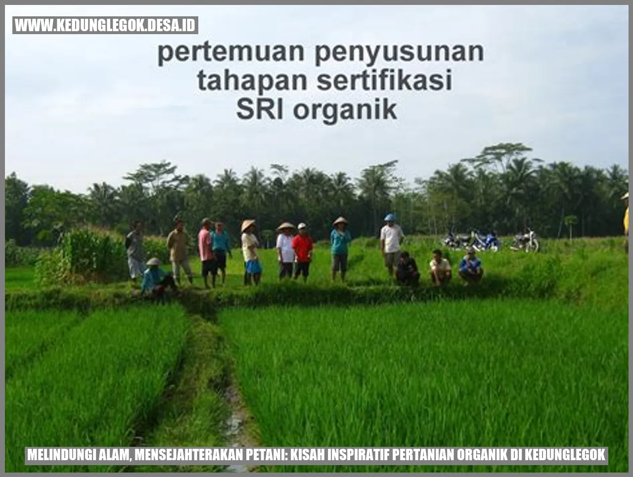 Melindungi Alam, Mensejahterakan Petani: Kisah Inspiratif Pertanian Organik di Kedunglegok