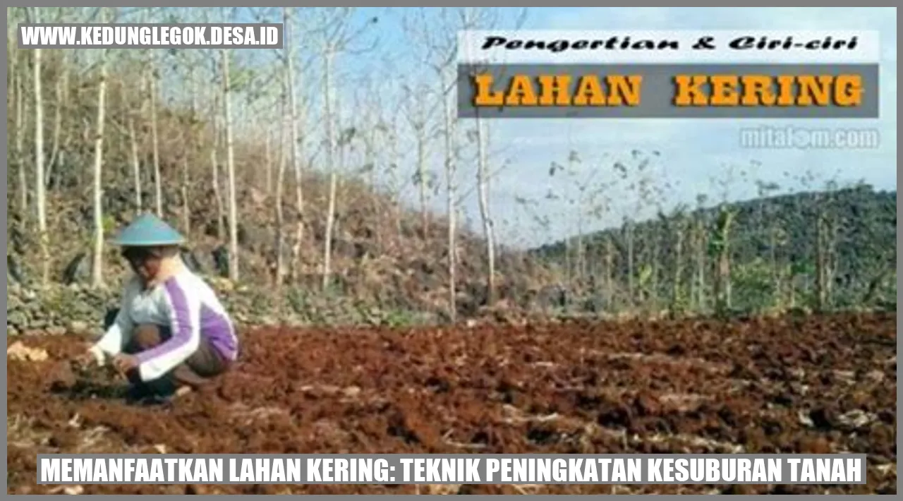 Memanfaatkan Lahan Kering: Teknik Peningkatan Kesuburan Tanah