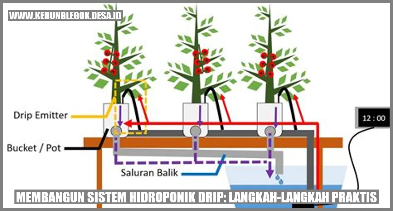 Membangun Sistem Hidroponik Drip: Langkah-langkah Praktis