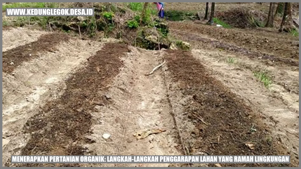 Gambar pertanian organik