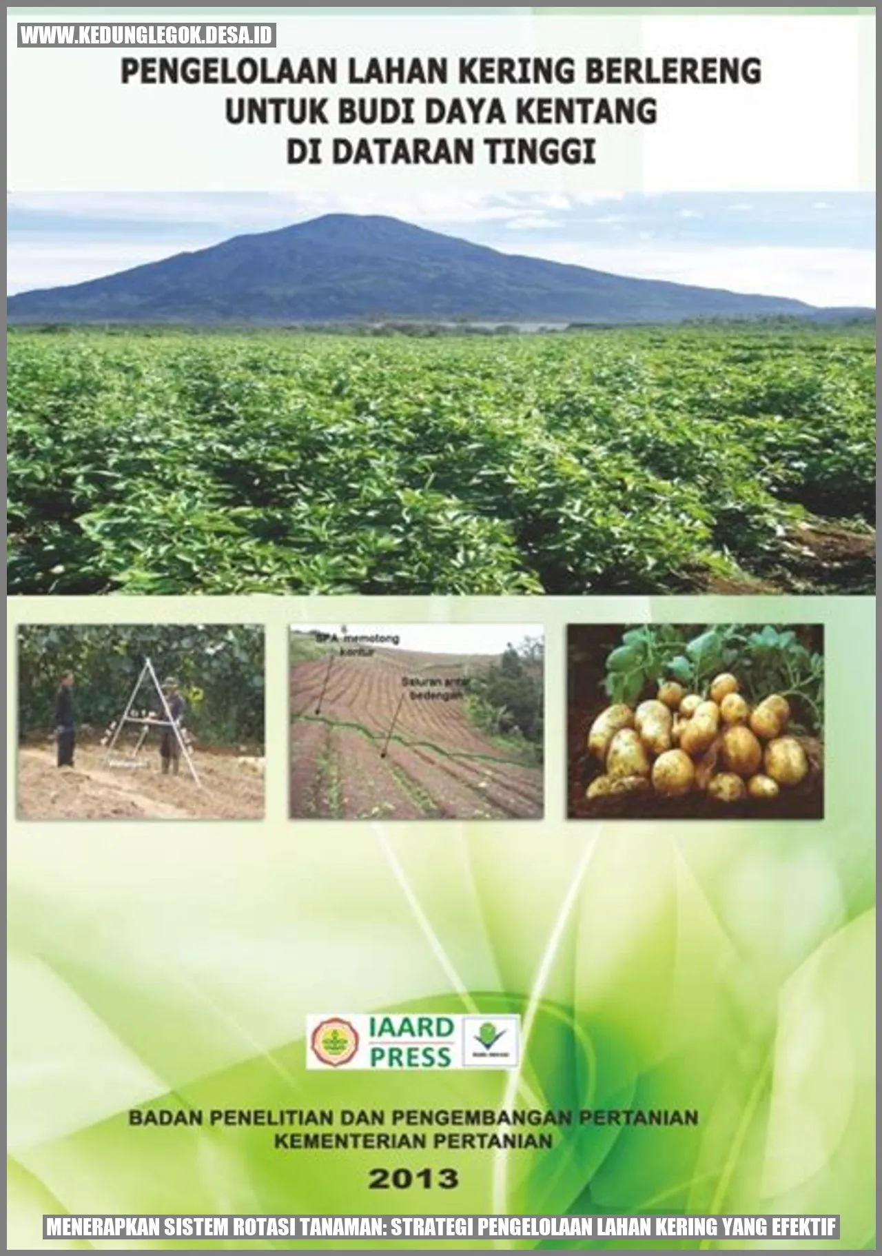 Menerapkan Sistem Rotasi Tanaman: Strategi Pengelolaan Lahan Kering yang Efektif