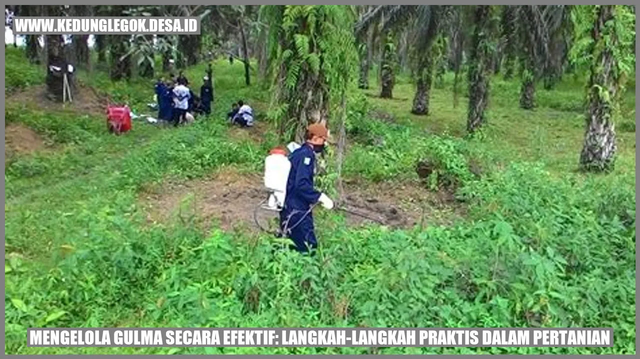 Mengelola Gulma Secara Efektif: Langkah-Langkah Praktis dalam Pertanian
