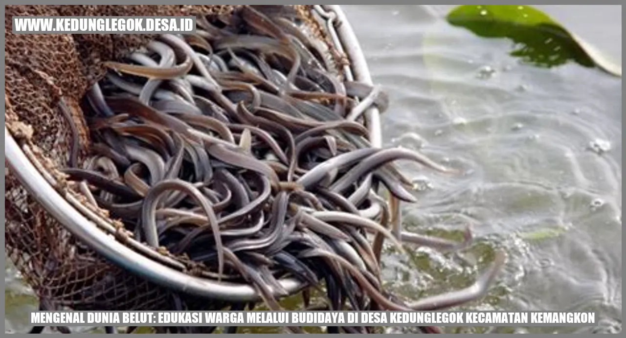 Mengenal Dunia Belut: Edukasi Warga Melalui Budidaya di Desa Kedunglegok Kecamatan Kemangkon