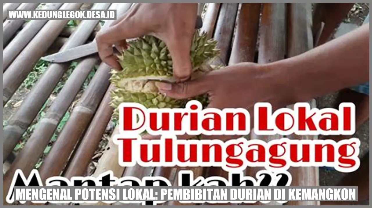 Mengenal Potensi Lokal: Pembibitan Durian di Kemangkon