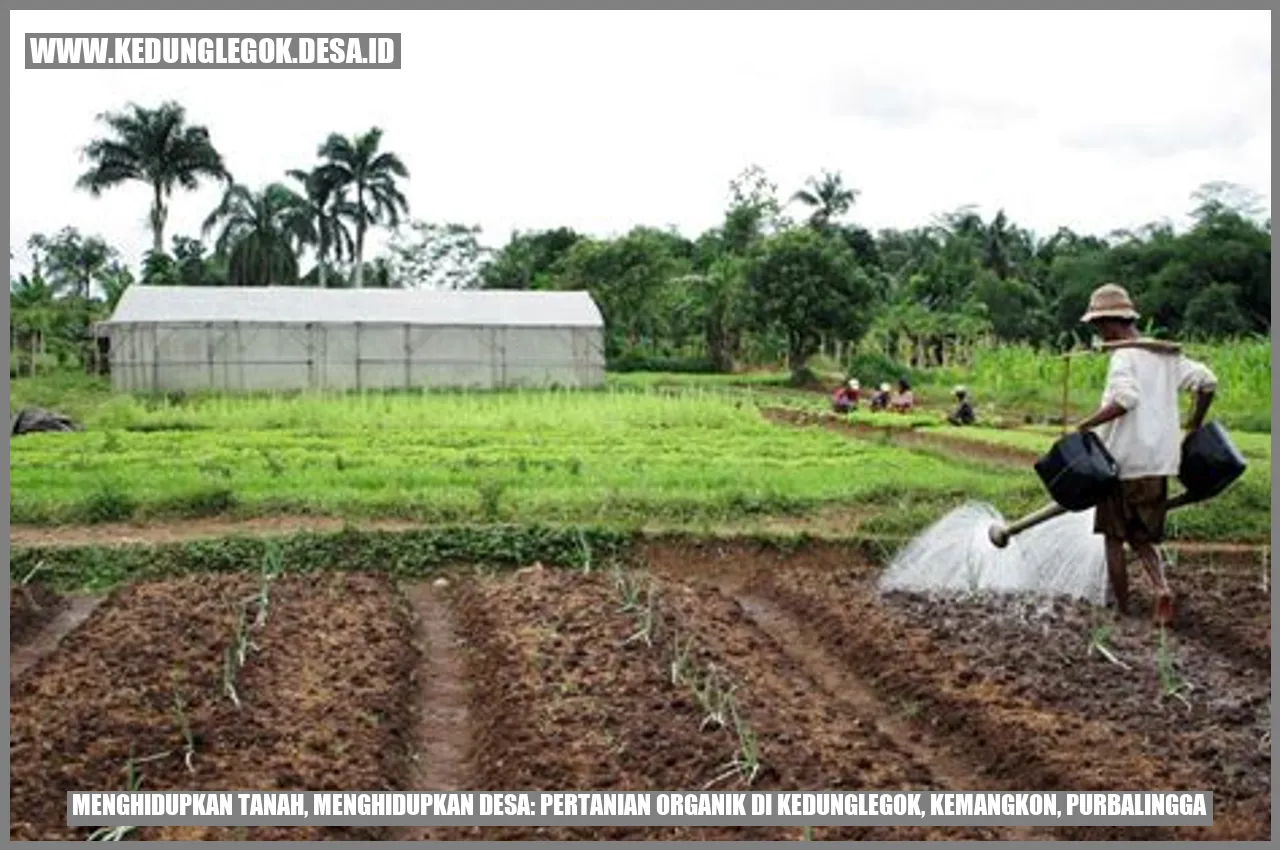 Pertanian Organik di Kedunglegok, Kemangkon, Purbalingga