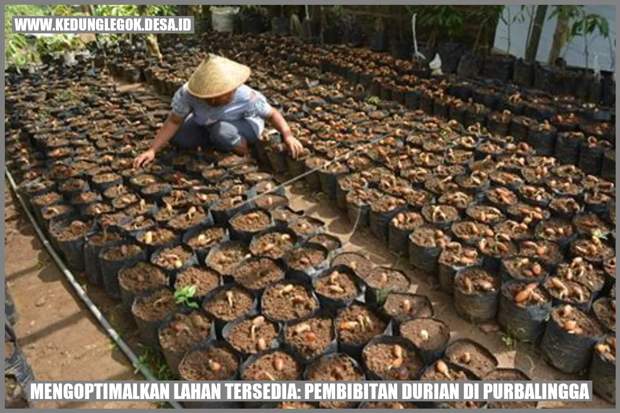 Mengoptimalkan Lahan Tersedia: Pembibitan Durian di Purbalingga