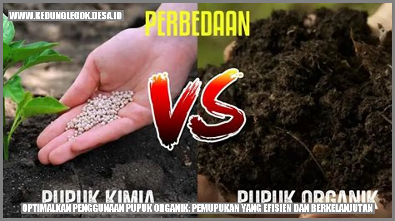 Optimalkan Penggunaan Pupuk Organik: Pemupukan yang Efisien dan Berkelanjutan