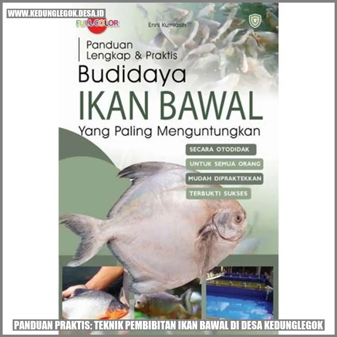 Panduan Praktis: Teknik Pembibitan Ikan Bawal di Desa Kedunglegok