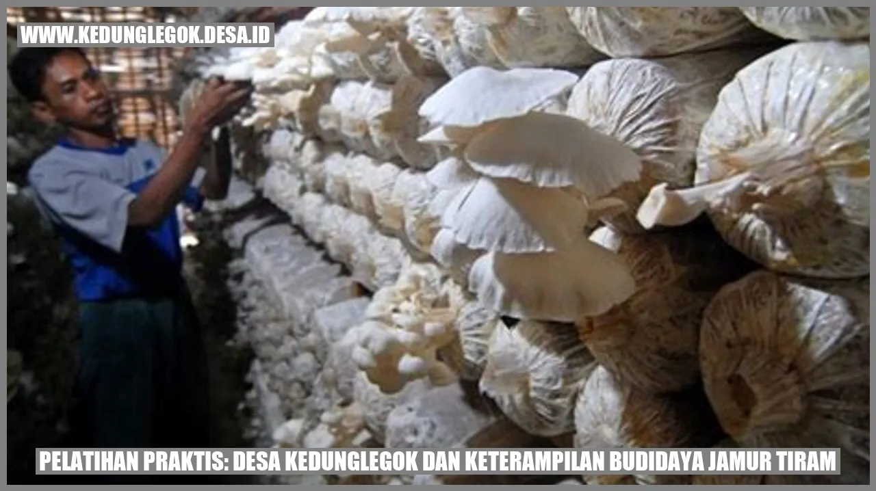 Pelatihan Praktis: Desa Kedunglegok dan Keterampilan Budidaya Jamur Tiram