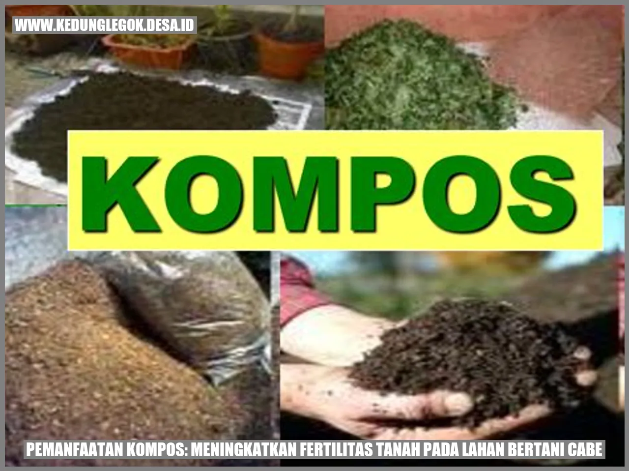 Pemanfaatan Kompos: Meningkatkan Fertilitas Tanah pada Lahan Bertani Cabe
