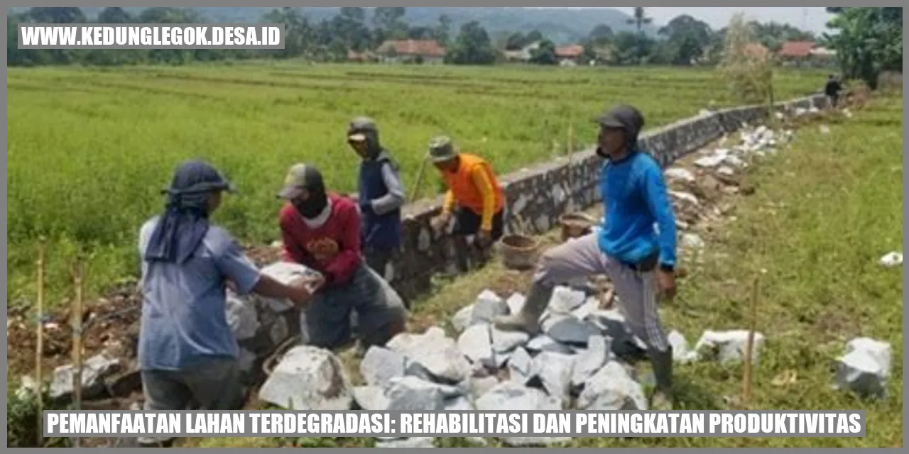 Pemanfaatan Lahan Terdegradasi: Rehabilitasi dan Peningkatan Produktivitas