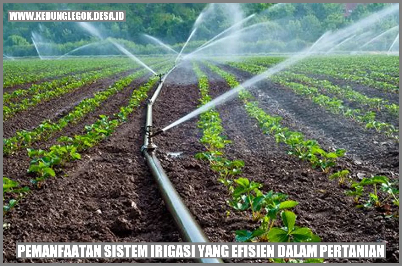 Pemanfaatan Sistem Irigasi yang Efisien dalam Pertanian
