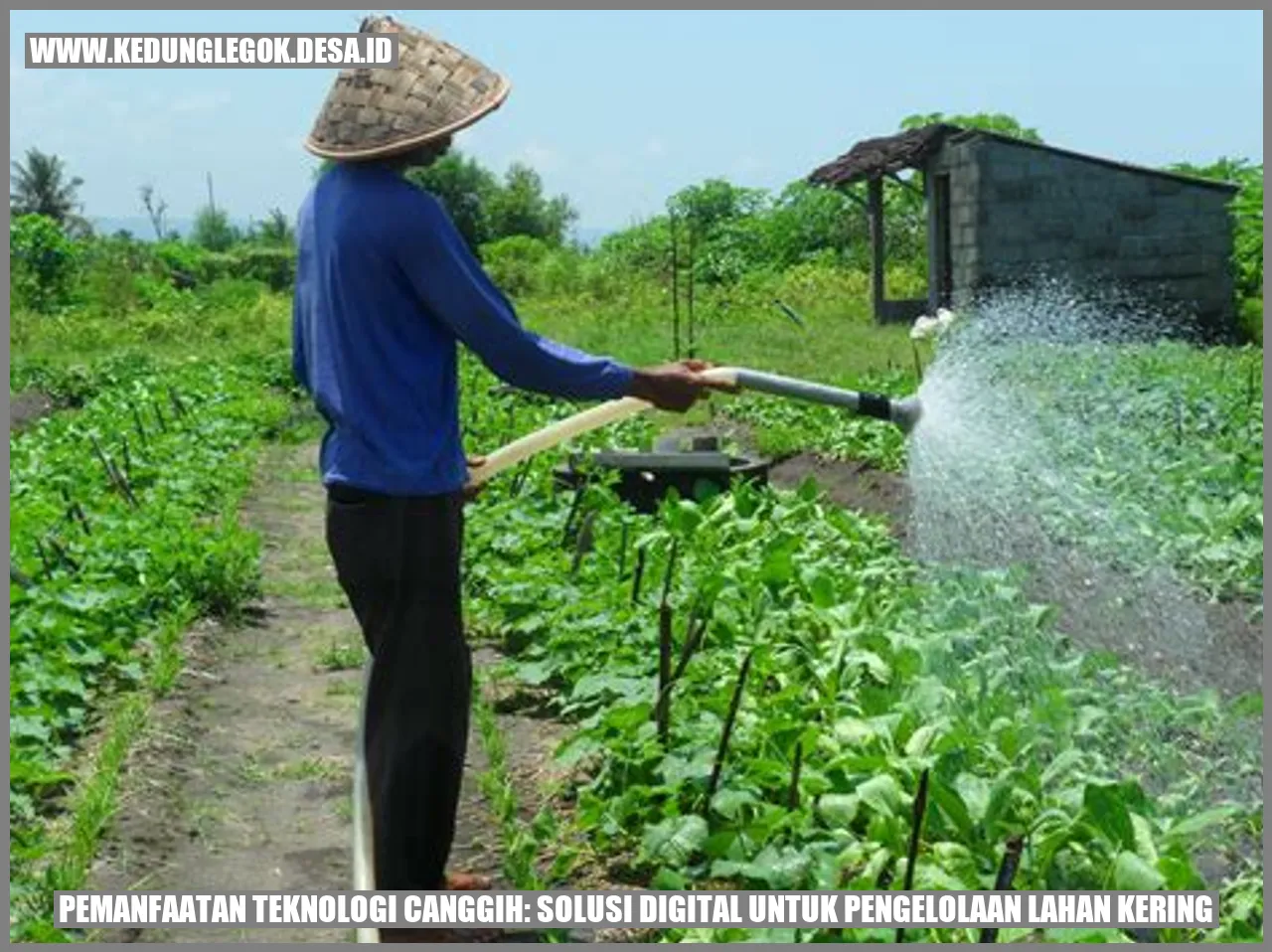 Pemanfaatan Teknologi Canggih: Solusi Digital untuk Pengelolaan Lahan Kering