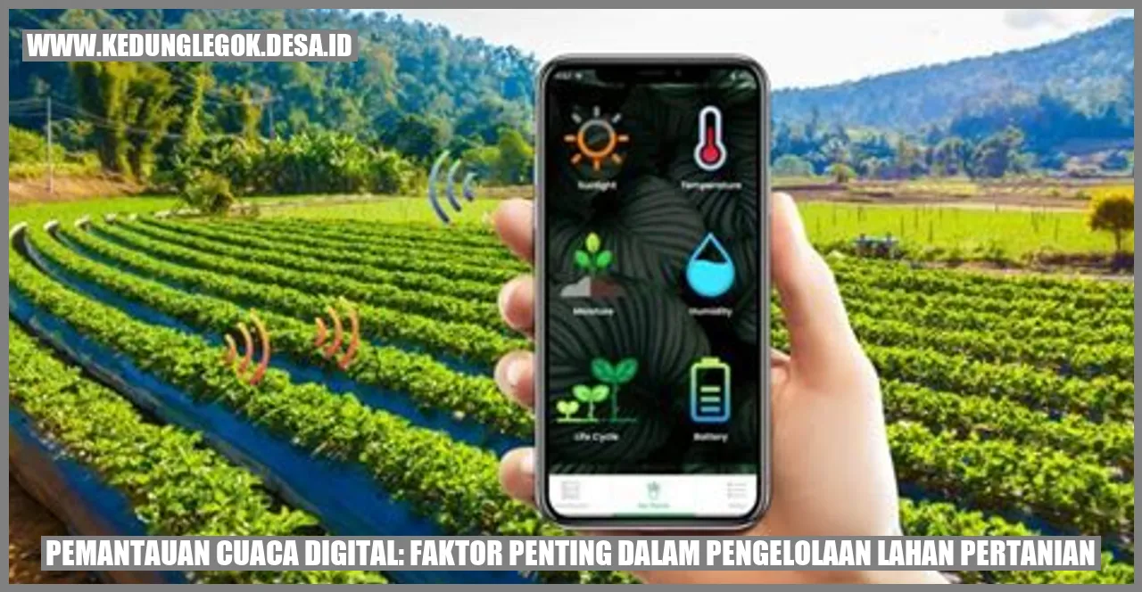 Pemantauan Cuaca Digital: Faktor Penting dalam Pengelolaan Lahan Pertanian