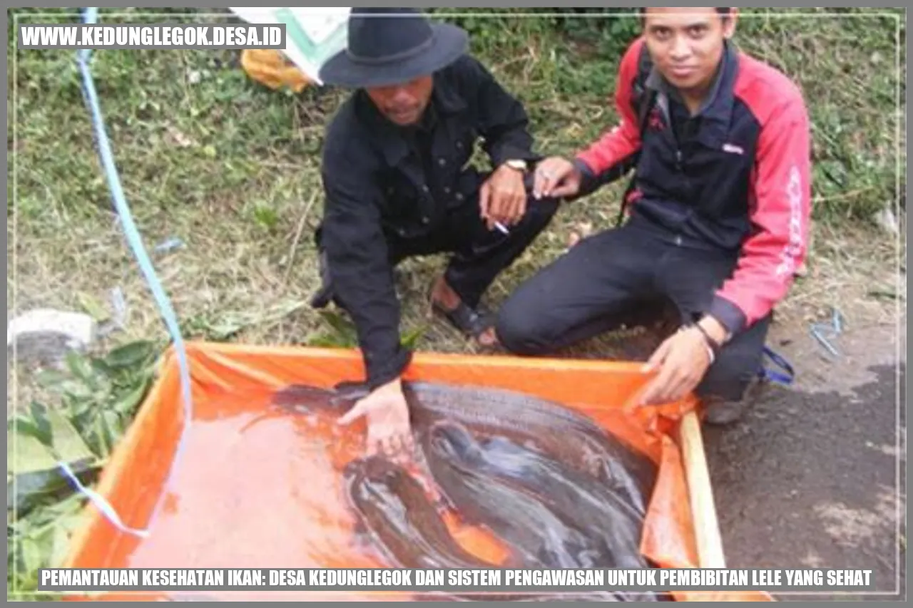 Pemantauan Kesehatan Ikan: Desa Kedunglegok dan Sistem Pengawasan untuk Pembibitan Lele yang Sehat
