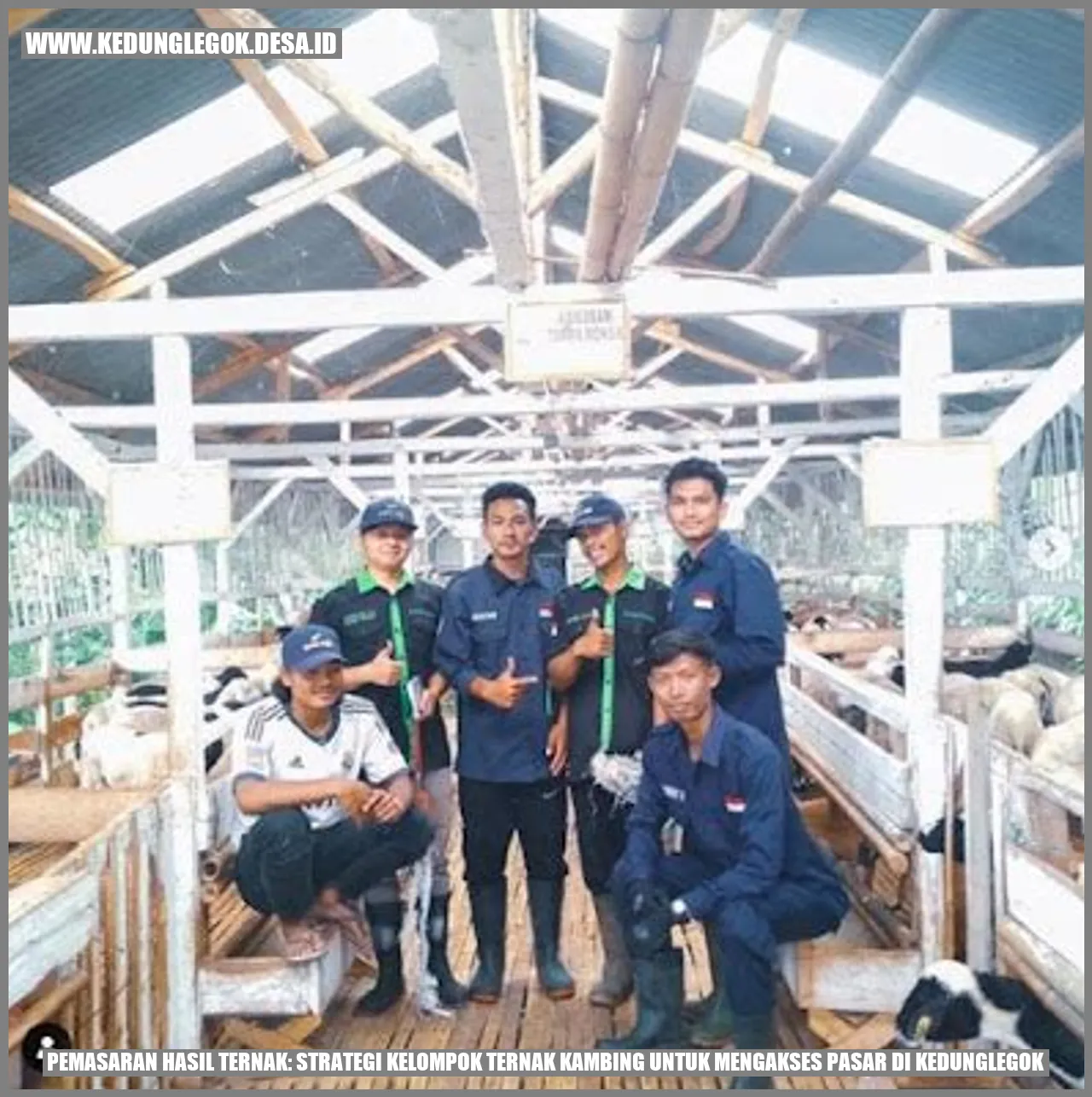 Pemasaran Hasil Ternak: Strategi Kelompok Ternak Kambing untuk Mengakses Pasar di Kedunglegok