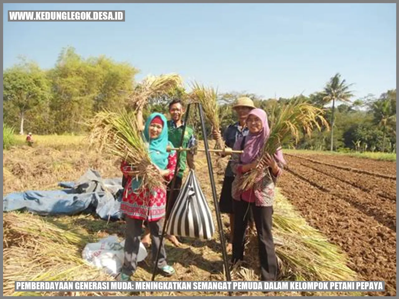 Pemberdayaan Generasi Muda: Meningkatkan Semangat Pemuda dalam Kelompok Petani Pepaya