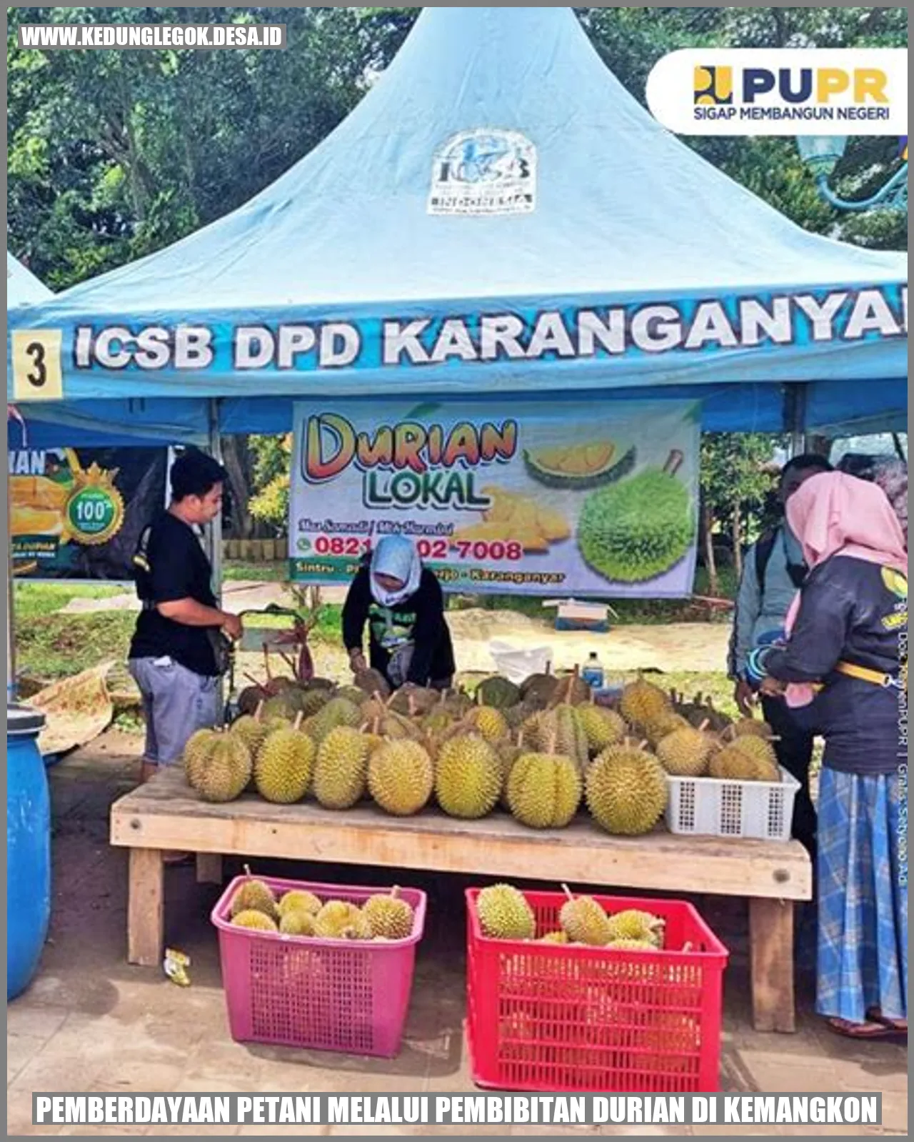 Pemberdayaan Petani Melalui Pembibitan Durian di Kemangkon