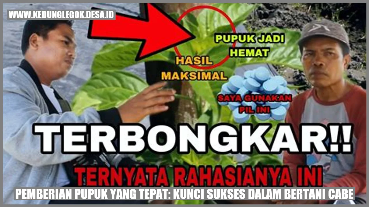 Pemberian Pupuk yang Tepat: Kunci Sukses dalam Bertani Cabe